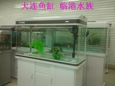 佳寶魚缸售后咨詢電話是多少:佳寶魚缸上過濾系統(tǒng)優(yōu)勢(shì) 魚缸百科 第4張 佳寶魚缸售后咨詢電話是多少:佳寶魚缸上過濾系統(tǒng)優(yōu)勢(shì) 佳寶魚缸售后咨詢電話是多少:佳寶魚缸上過濾系統(tǒng)優(yōu)勢(shì) 魚缸百科 第4張