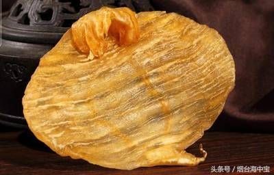 金龍魚(yú)膠的功效和作用及食用方法(金龍魚(yú)膠與魚(yú)翅的區(qū)別是什么金龍魚(yú)膠與魚(yú)翅的區(qū)別) 龍魚(yú)百科 第4張 金龍魚(yú)膠的功效和作用及食用方法(金龍魚(yú)膠與魚(yú)翅的區(qū)別是什么金龍魚(yú)膠與魚(yú)翅的區(qū)別) 金龍魚(yú)膠的功效和作用及食用方法(金龍魚(yú)膠與魚(yú)翅的區(qū)別是什么金龍魚(yú)膠與魚(yú)翅的區(qū)別) 龍魚(yú)百科 第4張