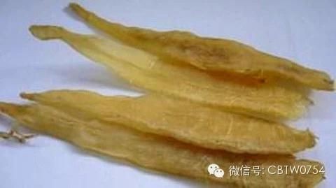 金龍魚(yú)膠的功效和作用及食用方法(金龍魚(yú)膠與魚(yú)翅的區(qū)別是什么金龍魚(yú)膠與魚(yú)翅的區(qū)別) 龍魚(yú)百科 第3張 金龍魚(yú)膠的功效和作用及食用方法(金龍魚(yú)膠與魚(yú)翅的區(qū)別是什么金龍魚(yú)膠與魚(yú)翅的區(qū)別) 金龍魚(yú)膠的功效和作用及食用方法(金龍魚(yú)膠與魚(yú)翅的區(qū)別是什么金龍魚(yú)膠與魚(yú)翅的區(qū)別) 龍魚(yú)百科 第3張