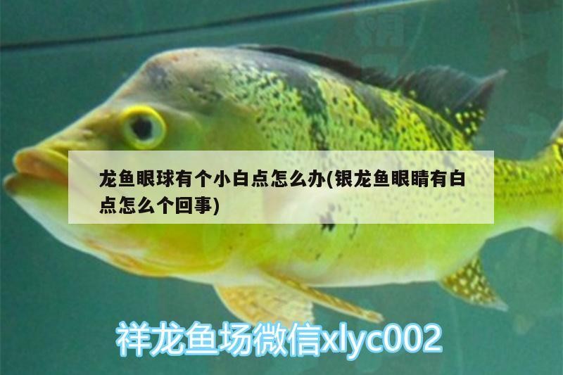 南崗區(qū)濱睿水族器材銷售店