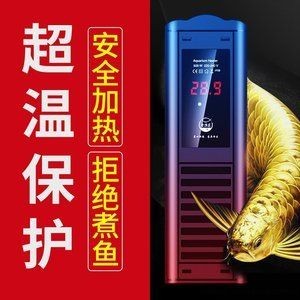 龍魚缸養(yǎng)烏龜：養(yǎng)龍魚缸烏龜需要注意的事項(xiàng)