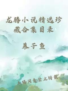 龍騰小說合集系列