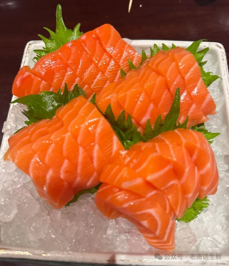 帝王鮭和三文魚