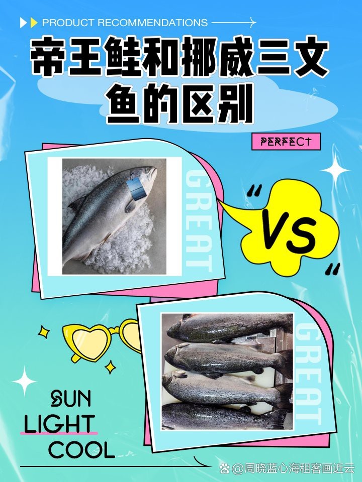 帝王鮭和三文魚
