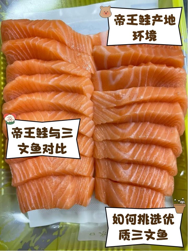 帝王鮭和三文魚