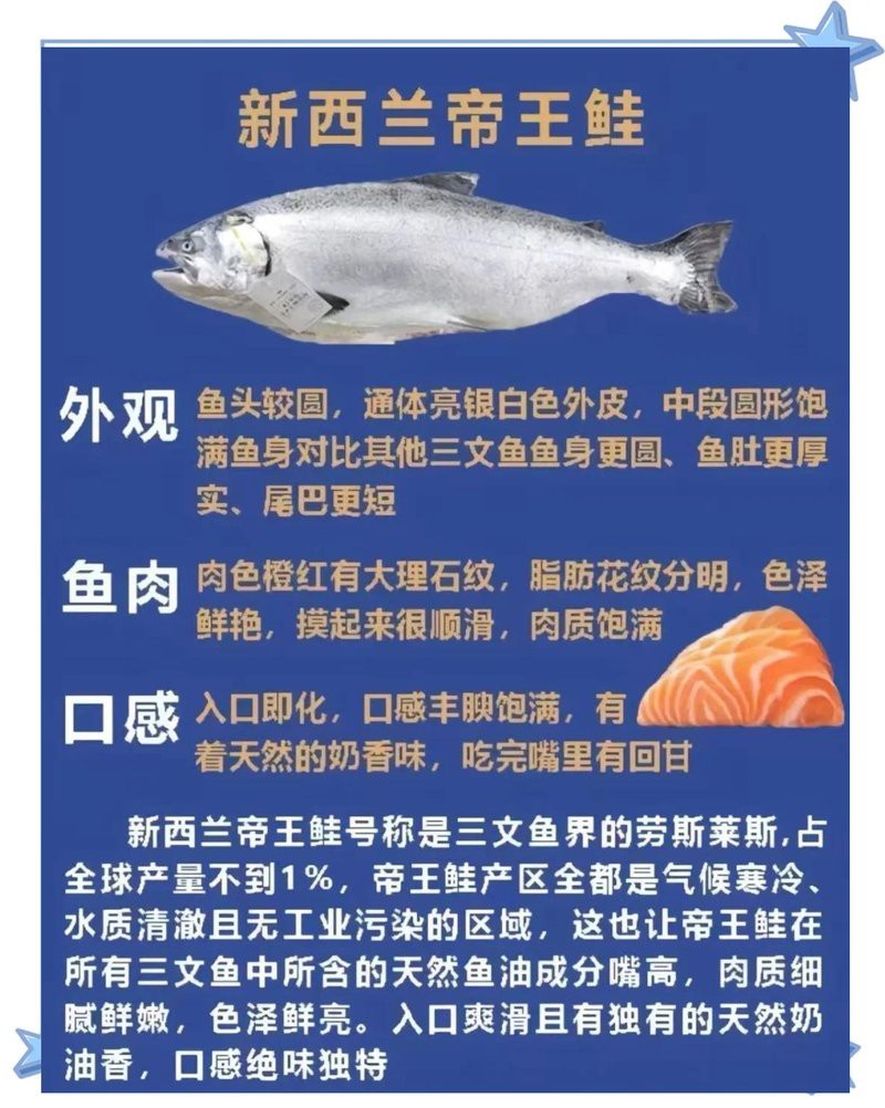 帝王鮭和三文魚