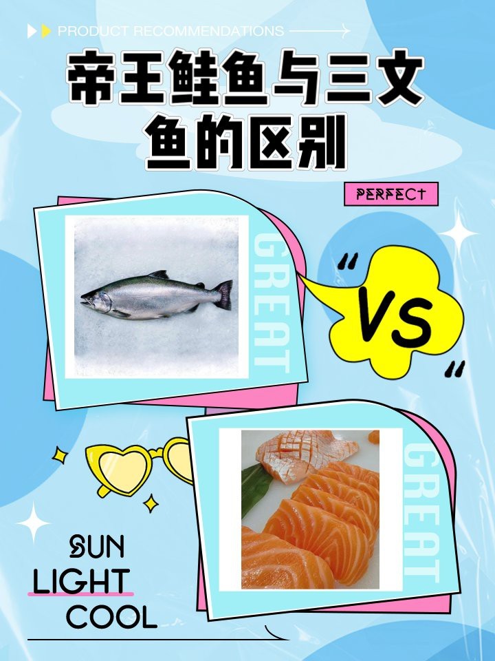 帝王鮭和三文魚