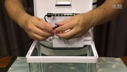 海星魚缸380f魚缸安裝教程380f魚缸安裝教程：養魚新手入門指南 海星魚缸380f魚缸安裝教程380f魚缸安裝教程：養魚新手入門指南 魚缸百科 第1張