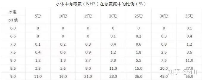 黑桃a魚和粗線哪個好