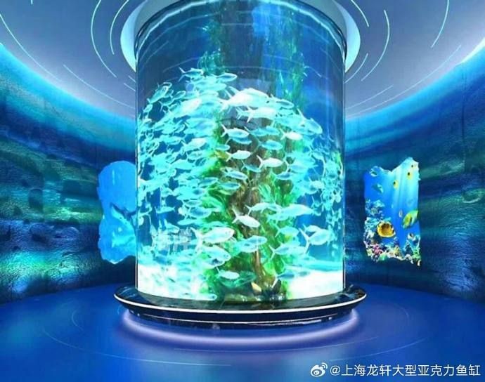 龍魚嘴上長肉瘤會傳染嗎？（魚嘴上長肉瘤會自愈嗎龍魚嘴上長肉瘤會自愈嗎）