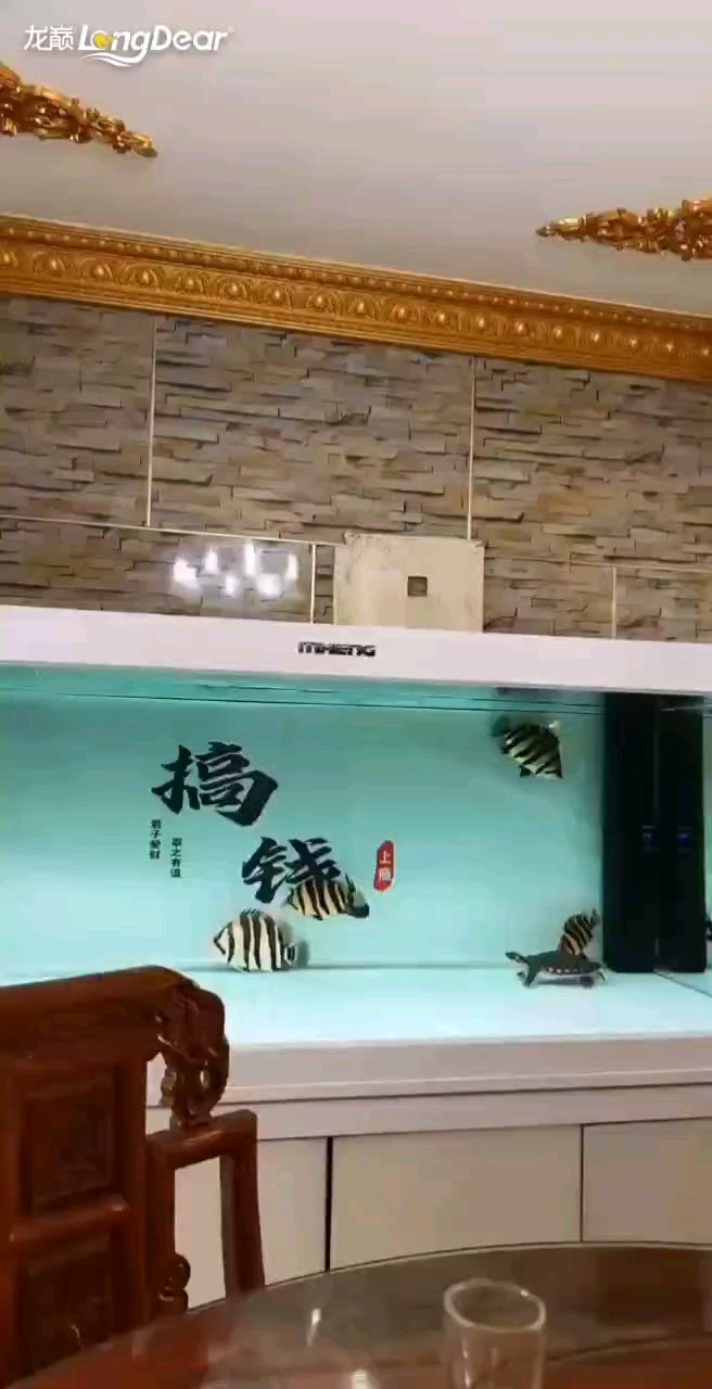 轉發815