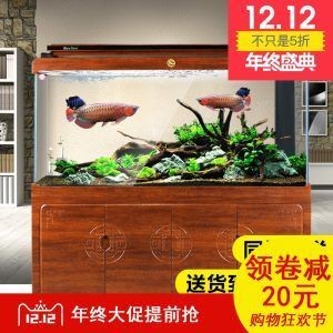 森森魚缸技術解析森森魚缸技術解析森森魚缸技術解析：全球知名魚缸品牌大盤點