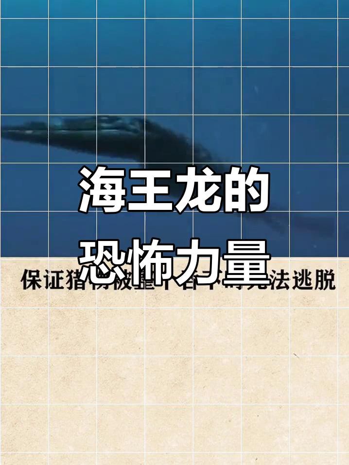 霍夫曼滄龍和海王龍哪個更厲害？ 霍夫曼滄龍和海王龍哪個更厲害？ 龍魚論壇 第4張