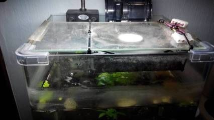 魚缸如何拆解視頻：魚缸如何拆解