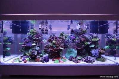哈爾濱市南崗區鑫淼水族家具經銷部（哈爾濱市南崗區鑫淼水族家具經銷部電話）