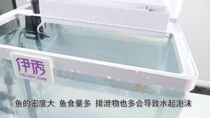 魚缸水好多泡沫是怎么回事（魚缸水好多泡沫是怎么回事是怎么回事）
