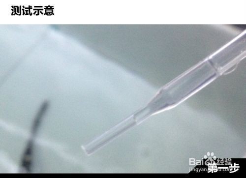 如何檢測魚缸中的有害細菌：檢測魚缸中的有害細菌 如何檢測魚缸中的有害細菌：檢測魚缸中的有害細菌 魚缸百科 第4張