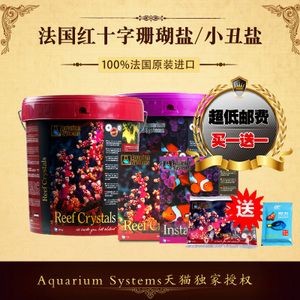 海水魚缸lps什么意思：lps與sps珊瑚的區別