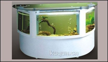 貝殼、沉魚缸和生態性的觀賞魚缸簡單布景：觀賞生態魚缸