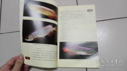 龍魚飼養手冊電子書免費下載：龍魚飼養手冊電子書免費下載，