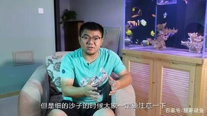 放魚缸的沙子怎么洗（清洗魚缸沙子的幾種方法）