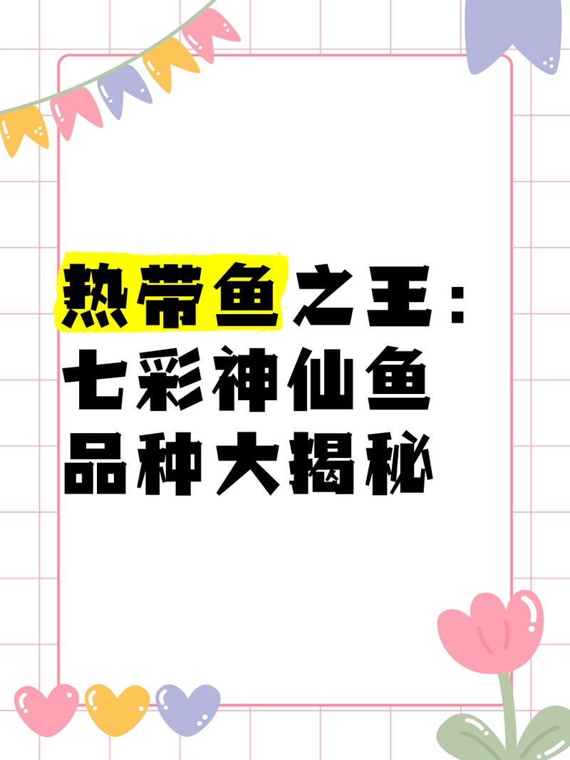 七彩神仙魚品種排行