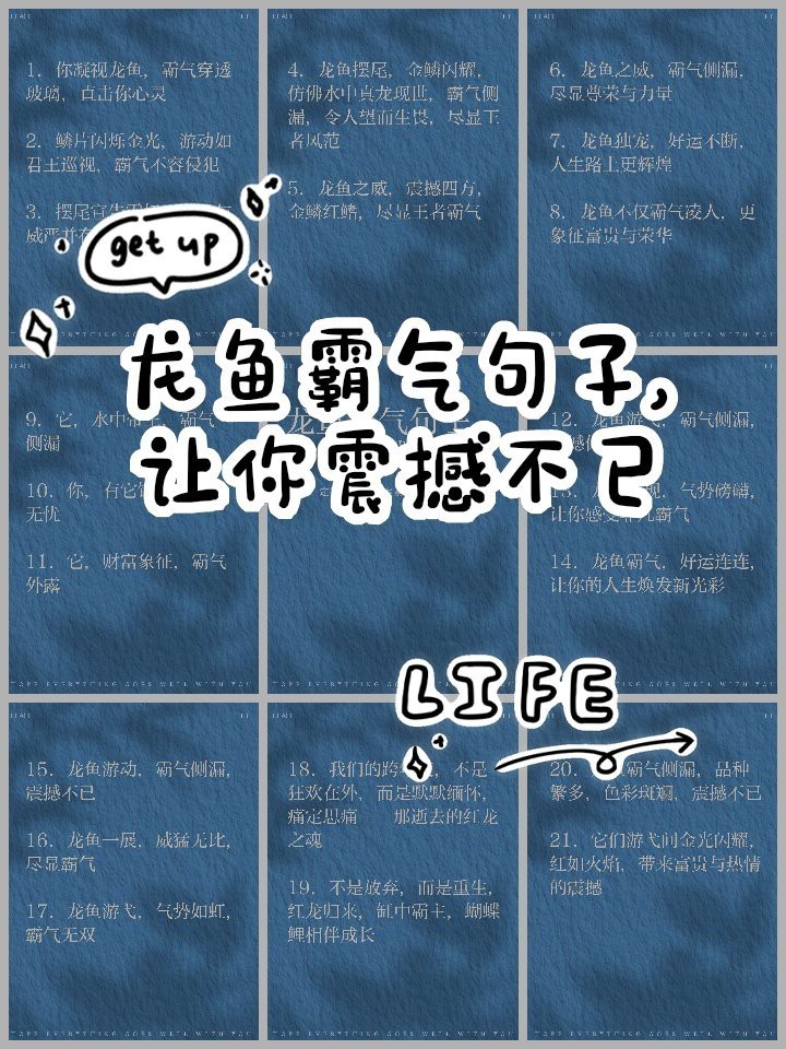 銀龍魚最經典十句話