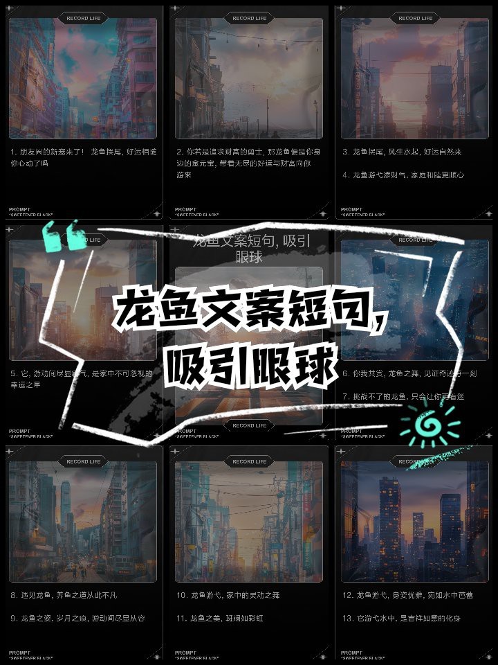 銀龍魚最經典十句話