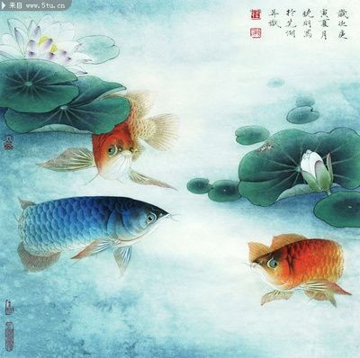 龍魚壁畫（<strong><mark>阿里</mark></strong>巴巴龍魚壁畫）