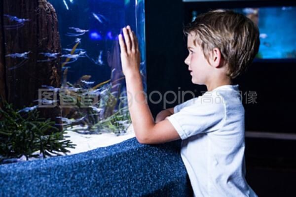 魚缸里的孩子：如何應用魚缸法則培養孩子，魚缸法則在家庭教育中的實踐