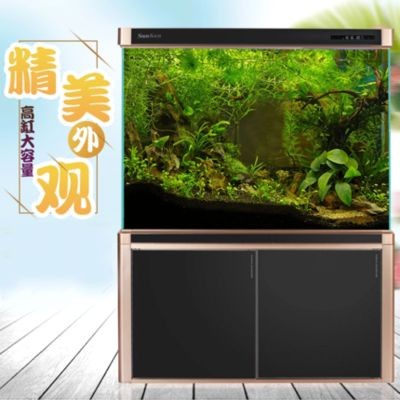 龍魚批發(fā)基地在哪里進(jìn)貨的：南京龍魚基地