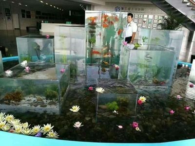 負壓魚缸優缺點
