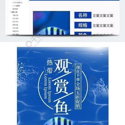 龍魚缸清理 貼吧（龍魚缸怎么清理？）