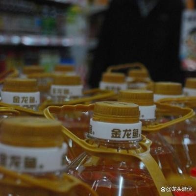 豐寧滿族自治縣煥旺水族館（豐寧滿族自治縣煥旺水族館電話）
