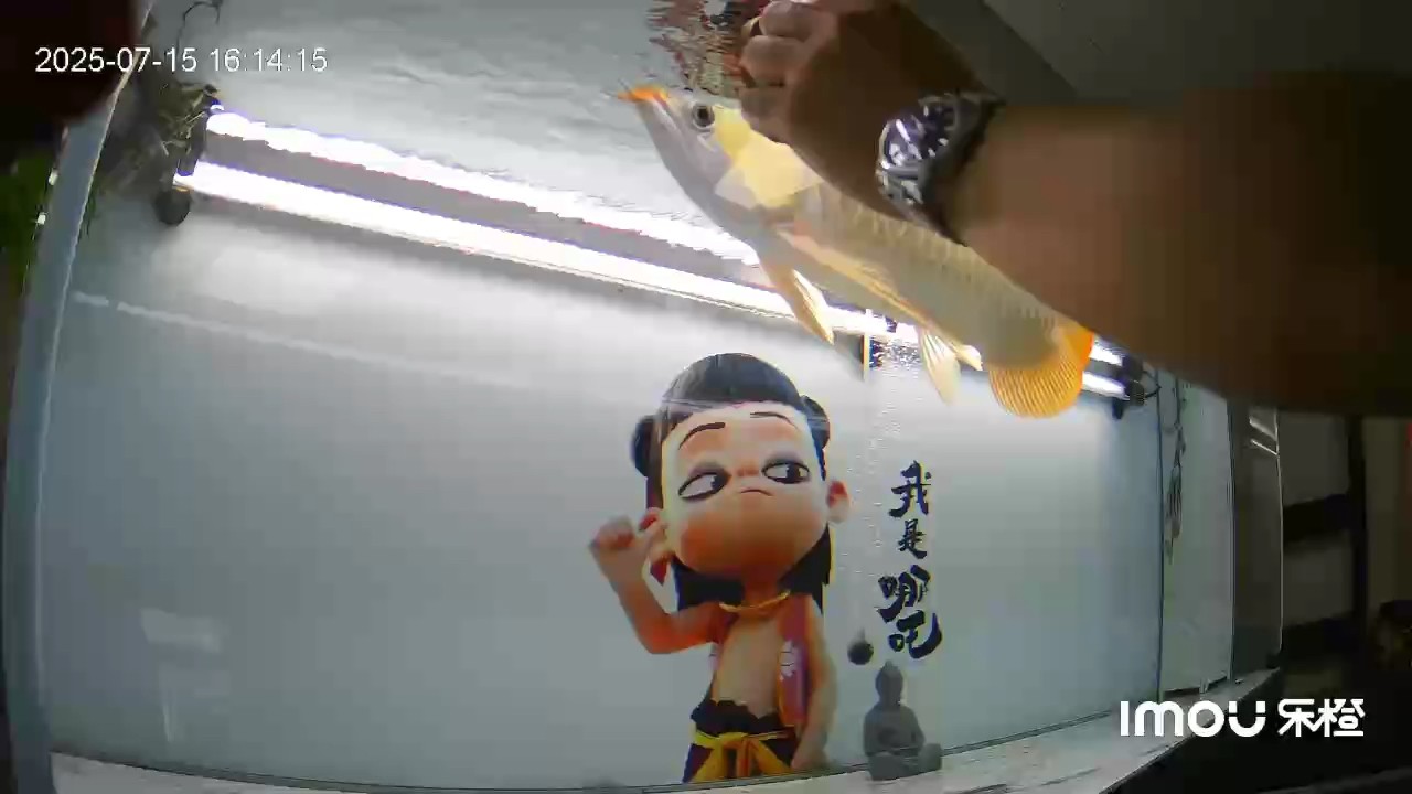 豉喉