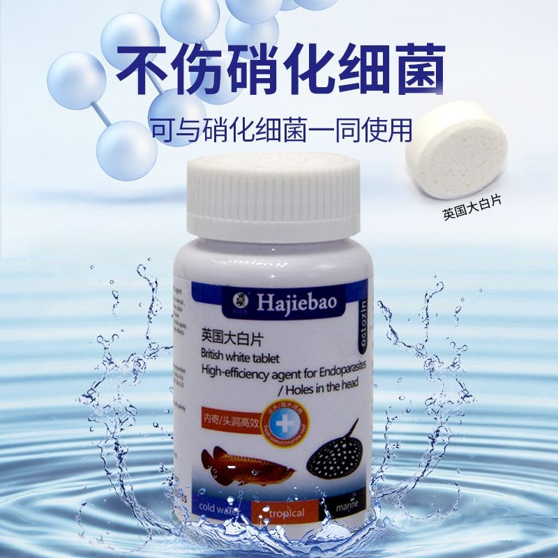龍魚凸眼服用大白片要連續幾天（龍魚凸眼服用大白片要連續幾天嗎）