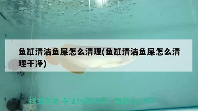 西龍魚缸水泵安裝視頻:西龍魚缸水泵安裝后的調(diào)試技巧西龍魚缸水泵安裝后的調(diào)試技巧 魚缸百科 第3張 西龍魚缸水泵安裝視頻:西龍魚缸水泵安裝后的調(diào)試技巧西龍魚缸水泵安裝后的調(diào)試技巧 西龍魚缸水泵安裝視頻:西龍魚缸水泵安裝后的調(diào)試技巧西龍魚缸水泵安裝后的調(diào)試技巧 魚缸百科 第3張