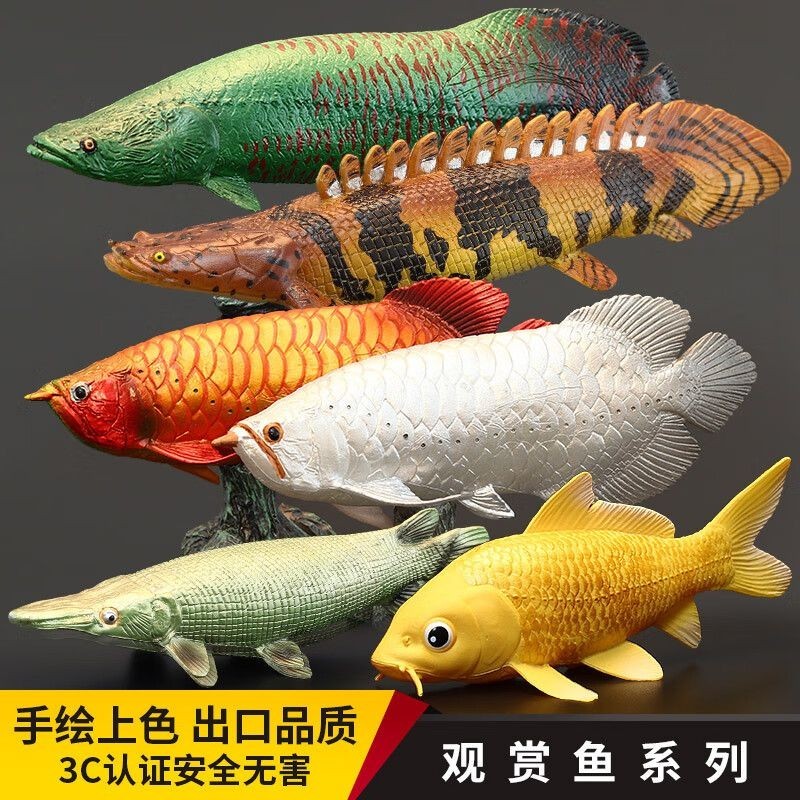 金龍魚吃什么上色快：金龍魚發(fā)色很大一部分是取決于金龍魚血統(tǒng)品質(zhì)，后天的喂食只能起到輔助作用