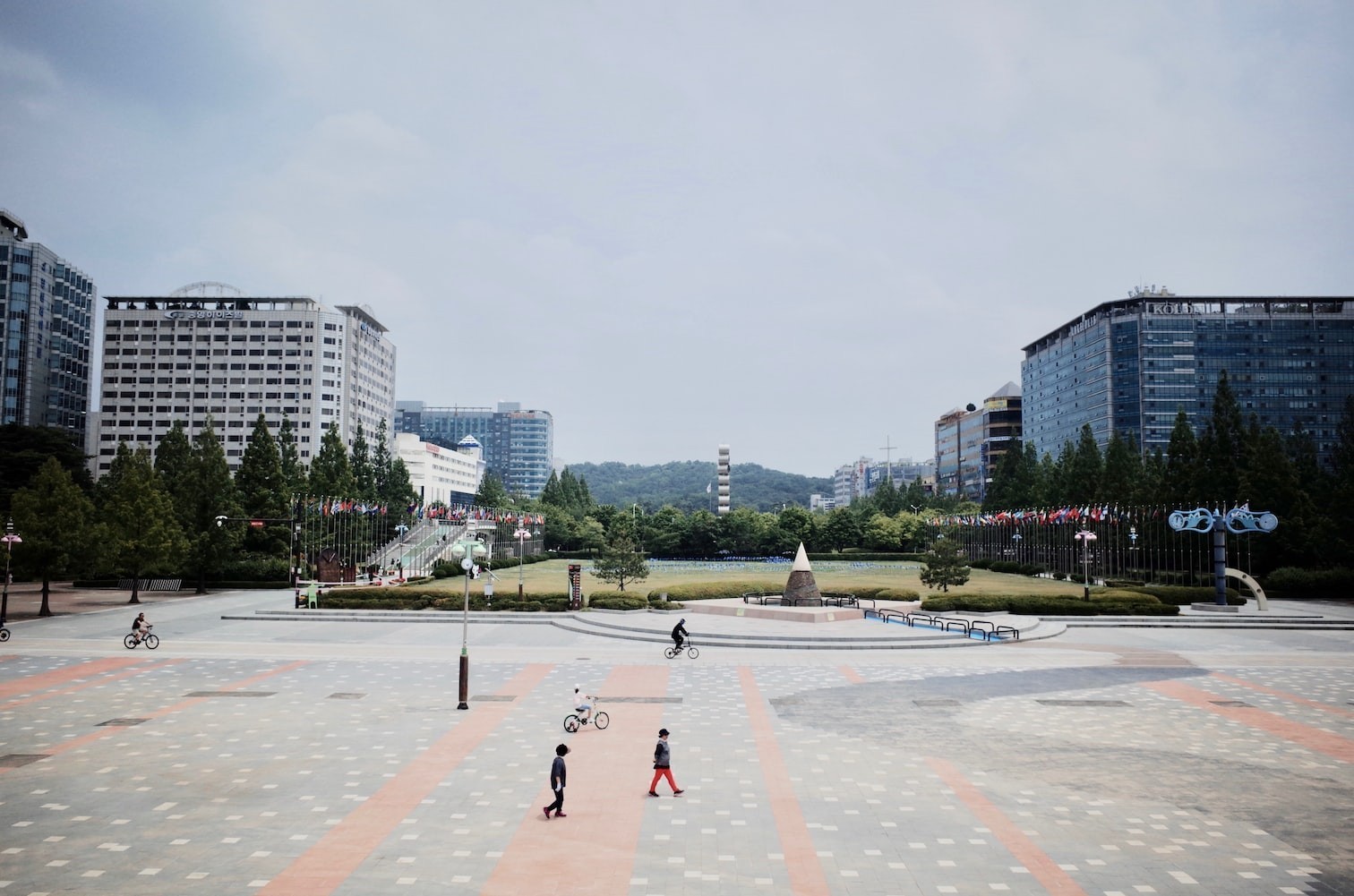 中山市石岐區(qū)水域之森水族器材店