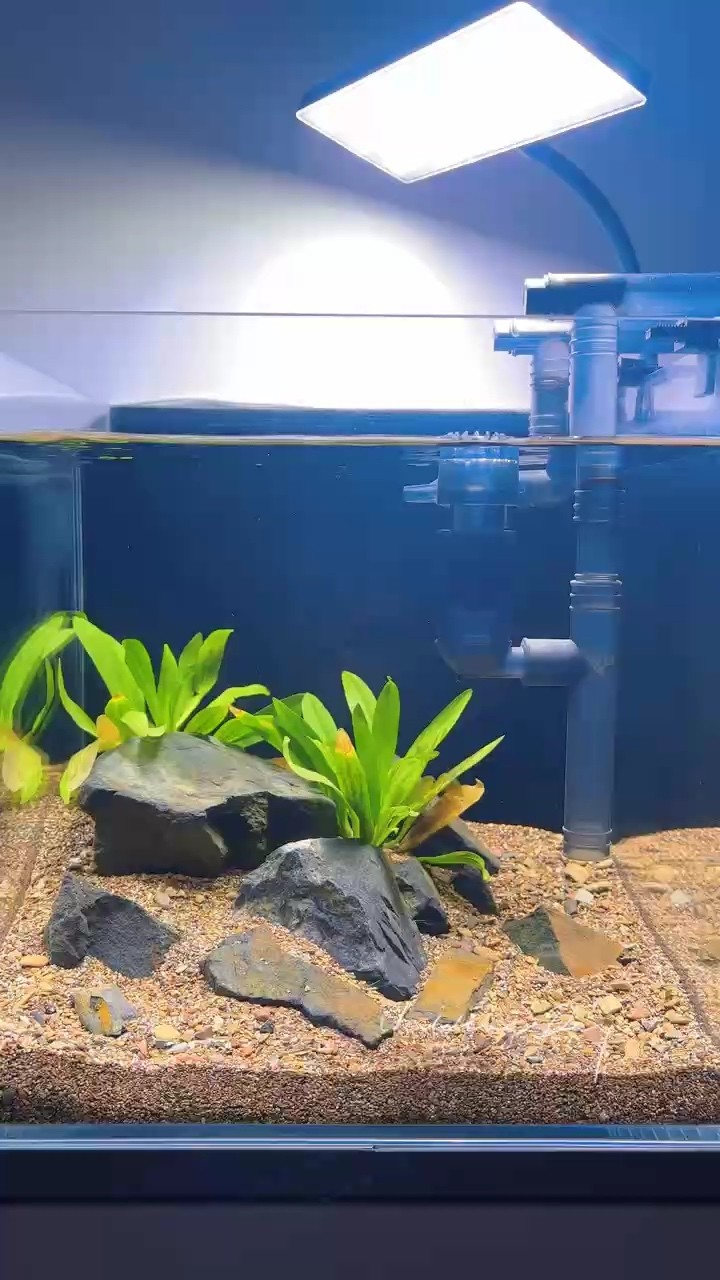 關(guān)鍵沒魚啊