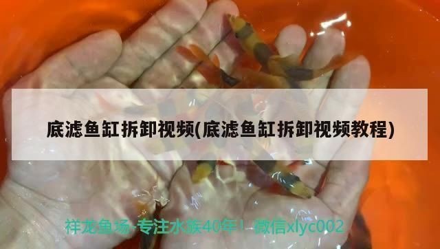 底濾魚缸拆卸視頻：如何拆卸底濾魚缸