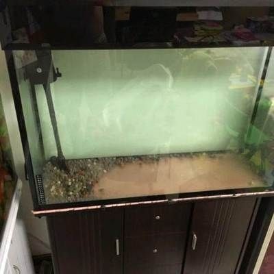 店鋪放魚缸的風水布局：店鋪放魚缸的最佳位置 店鋪放魚缸的風水布局：店鋪放魚缸的最佳位置 魚缸百科 第4張