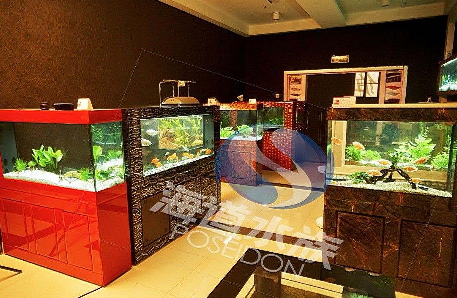 店鋪放魚缸的風水布局：店鋪放魚缸的最佳位置 店鋪放魚缸的風水布局：店鋪放魚缸的最佳位置 魚缸百科 第3張
