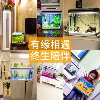 魚缸m260怎么安：魚缸m260安裝步驟圖解
