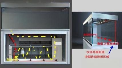 魚缸出水口是哪里：魚缸出水口不僅是過濾系統的關鍵組成部分魚缸風水布局