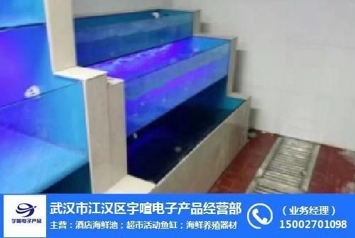 漢陽魚缸市場的歷史演變探索漢陽魚缸市場的歷史演變：漢陽幾個可能有賣魚缸的市場