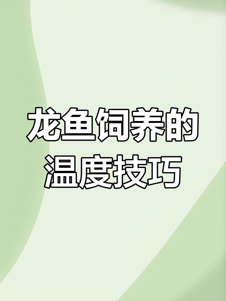 高背龍魚的最佳飼養環境