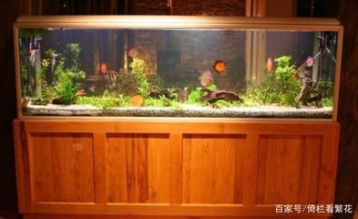 魚缸擺放如何影響家居氣場？：如何正確布置家中的魚缸