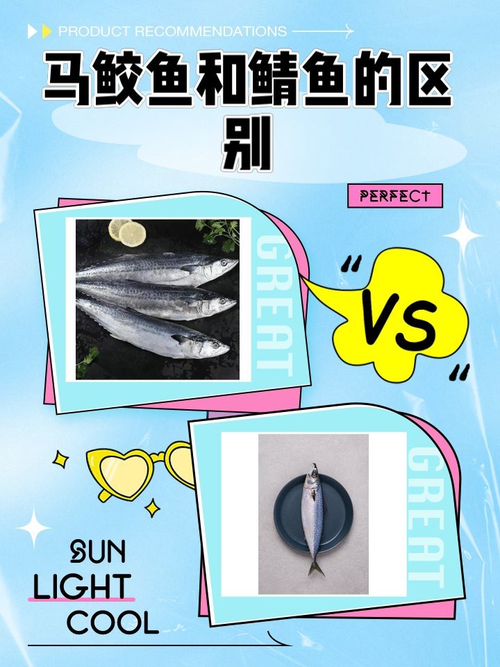 鯖魚是中國哪里產的