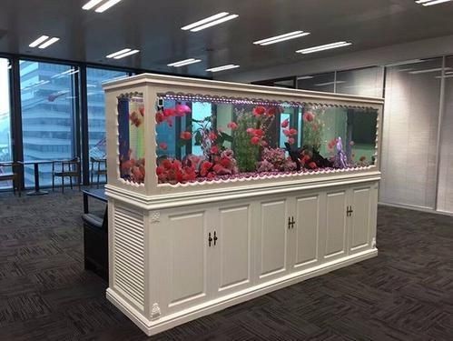 店鋪風水學中的魚缸布局在風水學中的布局在風水學中的布局：店鋪風水中的魚缸布局